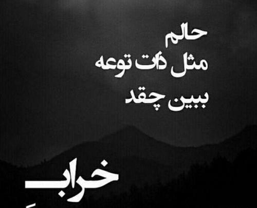 عکس پروفایل لاتی کفتر