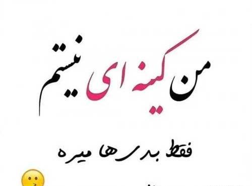 عکس های عشق لاتی