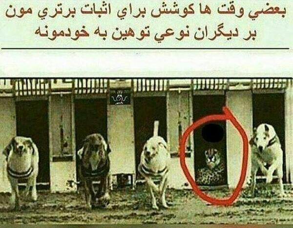عکس بچه عشق لاتی