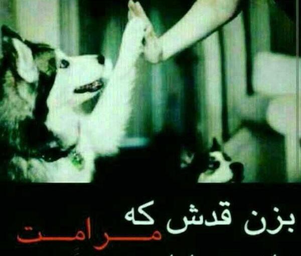 عکس حرف های لاتی