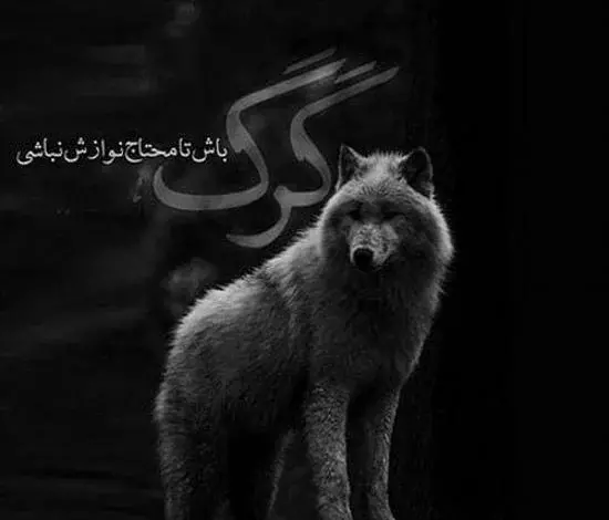 عکس نوشته قدیمی لاتی