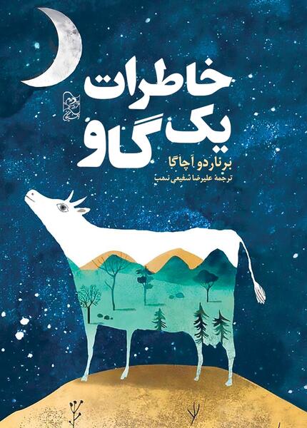 یک عکس از گاو