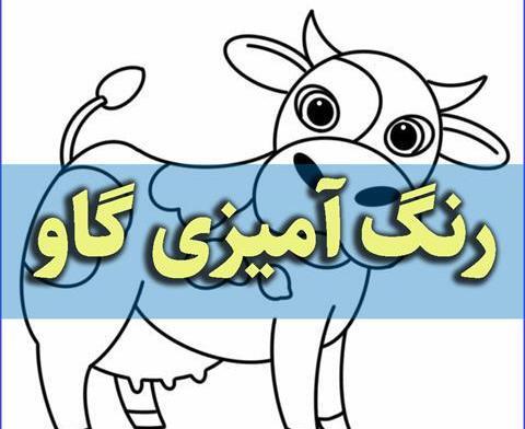 عکس های گاوهای وحشی