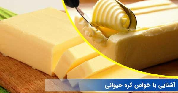 عکس کره محلی گاو