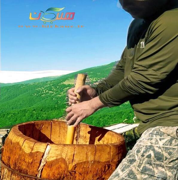 عکس کره محلی گاو