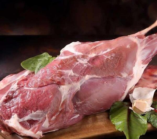 عکس ماهیچه گاو