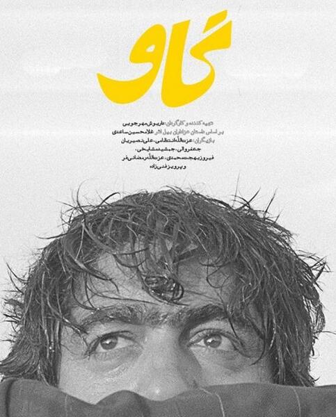 عکس گاو فیلم گاو