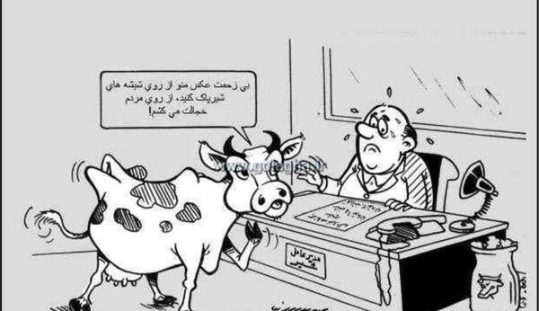 عکس کاریکاتور گاو