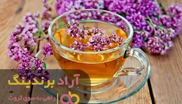 عکس گل گاو زبان کوهی خشک شده