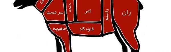 عکس قلوه گاه گاو