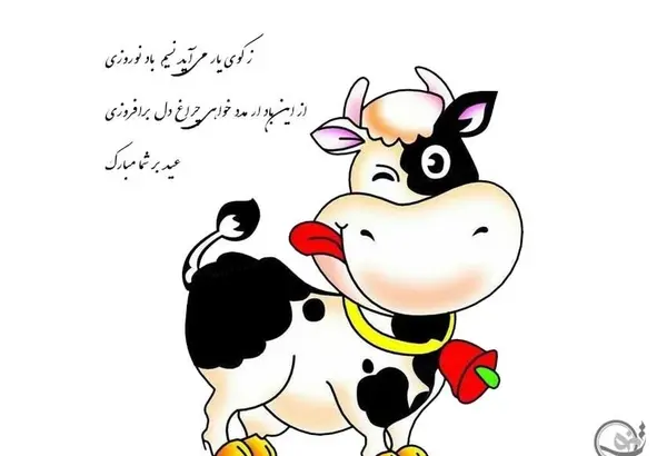 عکس عروسی گاو