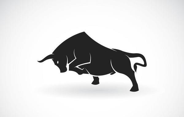 عکس گاو وحشی برای پروفایل