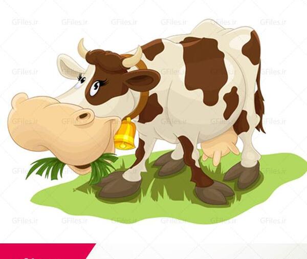 عکس از گاو شیری