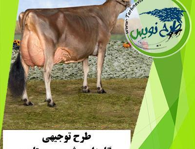 دانلود عکس گاو شیرده