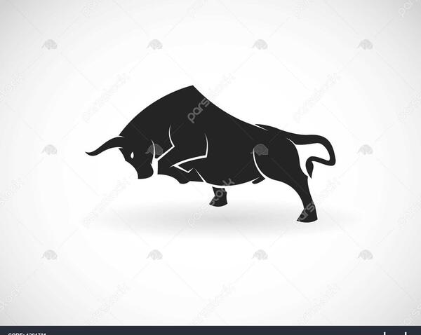 عکس گاو شاخ دار وحشی