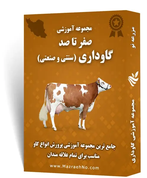 عکس های گاو شیری