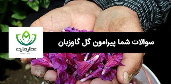 عکس گاوزبان کوهی
