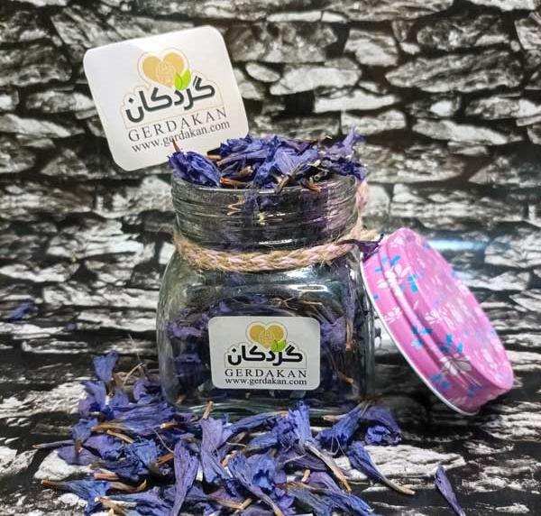 عکس گاوزبان کوهی