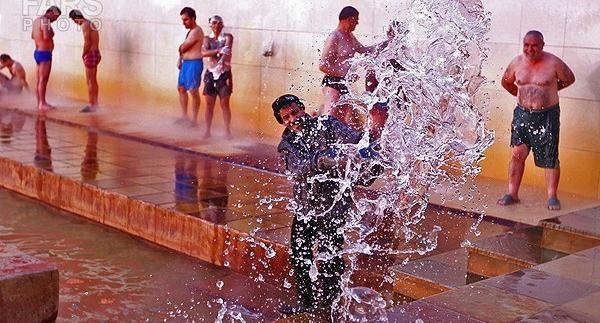 عکس گاومیش گلی سرعین