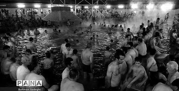 عکس گاومیش گلی سرعین