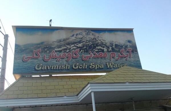 عکس گاومیش گلی سرعین