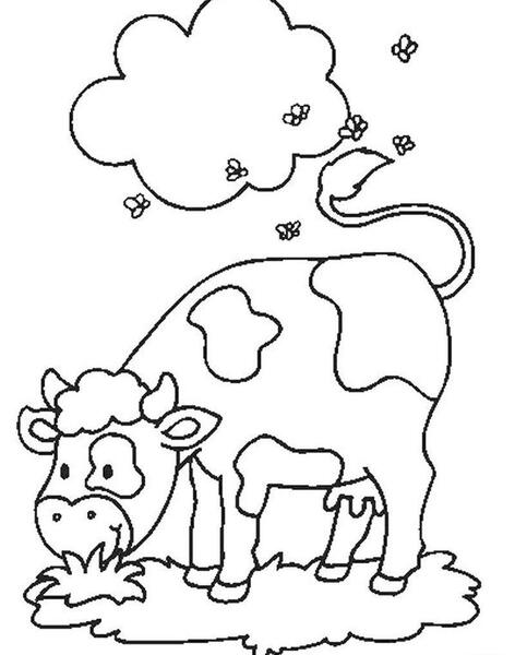 عکس نقاشی گاو رنگ شده