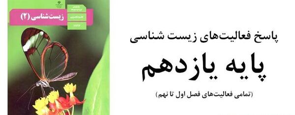 عکس تشریح چشم گاو