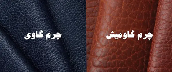 عکس چرم گاوی