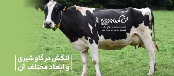 عکس دسته جمعی گاو ها