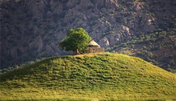 عکس حسن گاویار