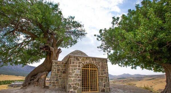 عکس حسن گاویار