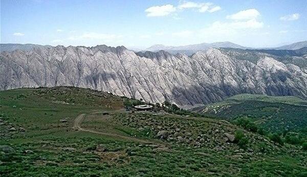 عکس حسن گاویار