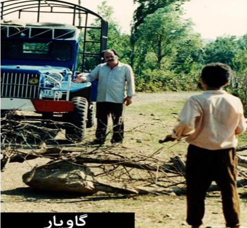 عکس حسن گاویار