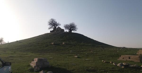 عکس حسن گاویار