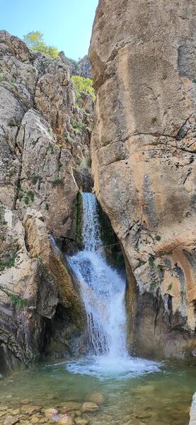 عکس حسن گاویار