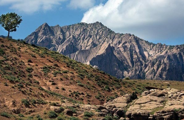 عکس حسن گاویار