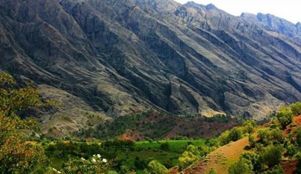 عکس حسن گاویار