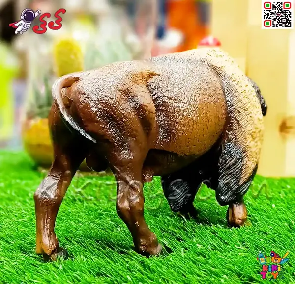 عکس گاومیش ماده