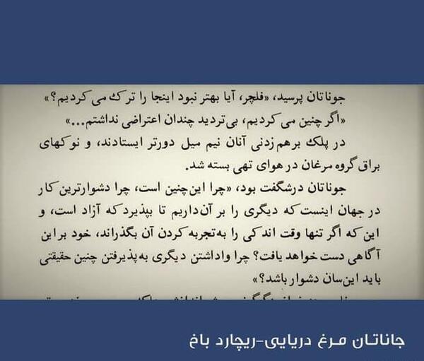 عکس جاناتان گاو سلمان