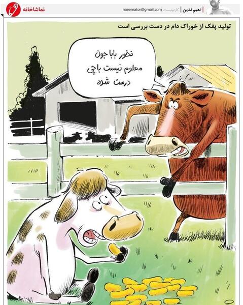 عکس کارتونی گاو میش