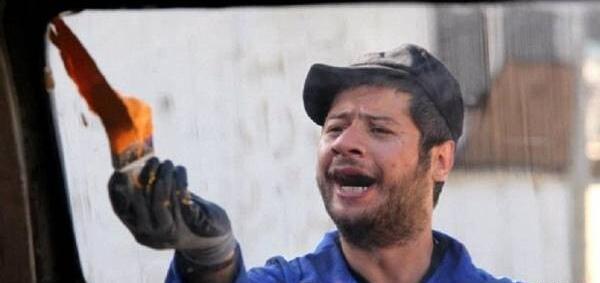 عکس گاو با پیرسینگ