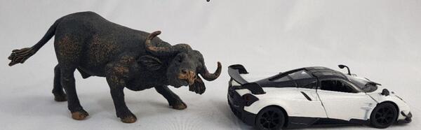 عکس اسباب بازی گاو وحشی