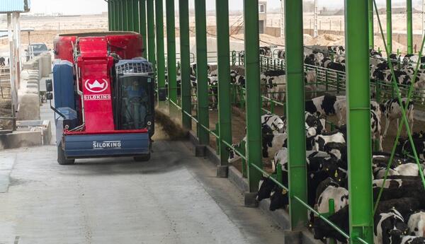 عکس گاوداری فکا اصفهان