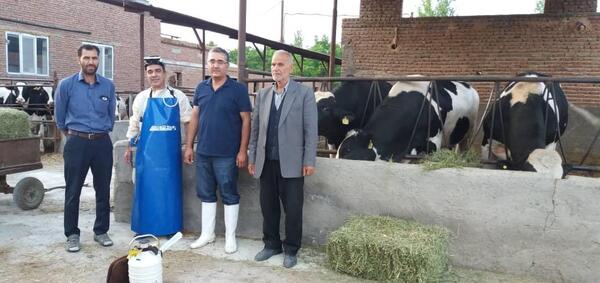 عکس گاوداری فکا اصفهان