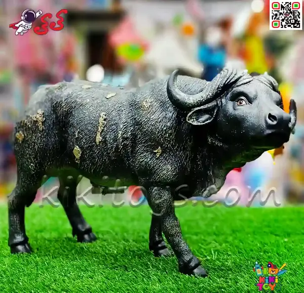 عکس گاومیش قرمز