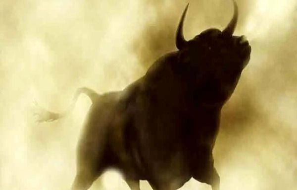 عکس گاو وحشی فیلم