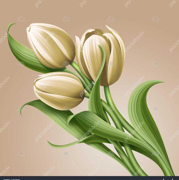 عکس گل گل های لاله