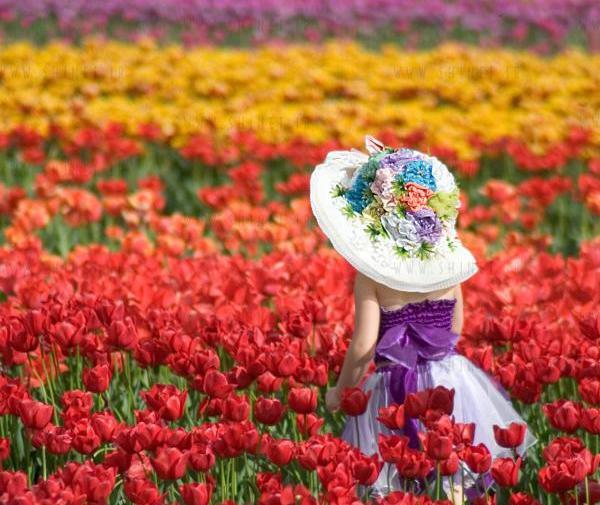 عکس گل لاله با رنگ های مختلف