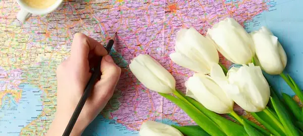 عکس انواع گل های لاله