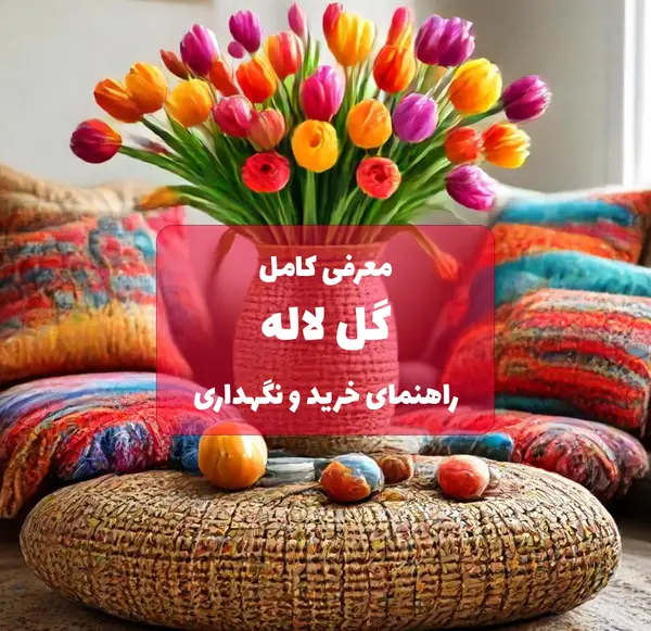 عکس انواع گل های لاله